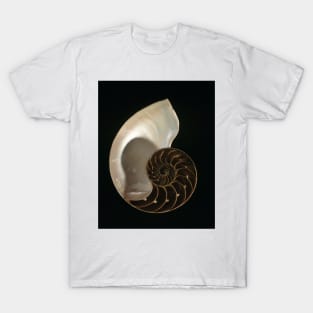 Common nautilus (C022/7617) T-Shirt